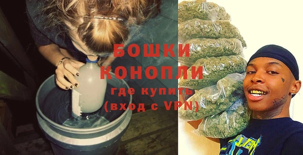 СК Гусев