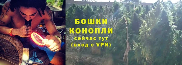 СК Гусев