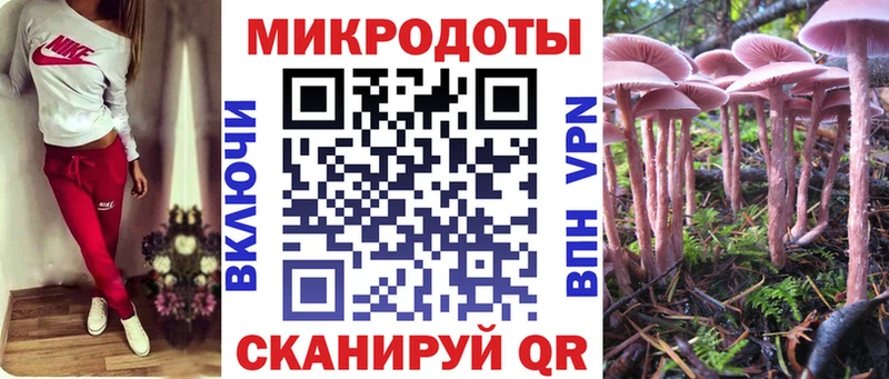 Псилоцибиновые грибы Psilocybine cubensis  Купить где  Калязин 